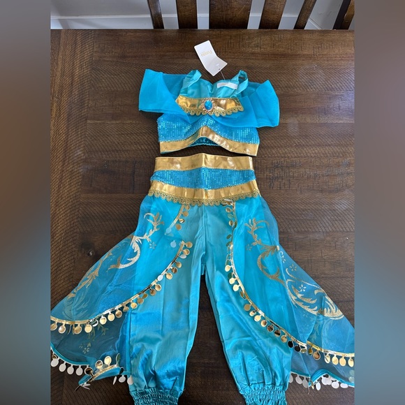 Jasmin Costume- - Picture 2 of 4